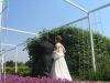 IMG_8482.JPG